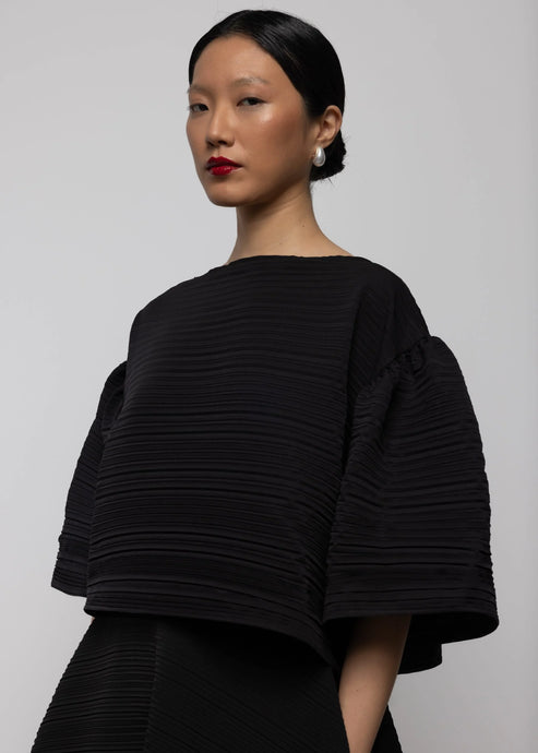 Pleated Bell Sleeve Top