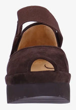 Amadour - Chocolate