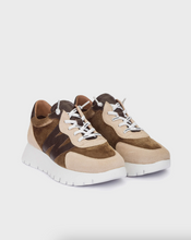 Betfly