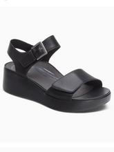Ariel - Black