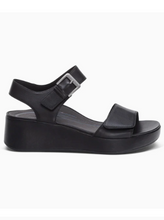 Ariel - Black