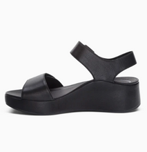 Ariel - Black