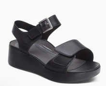Ariel - Black