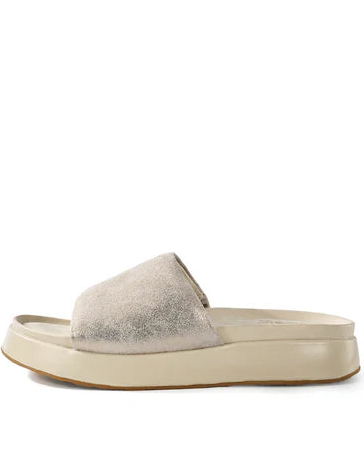 Suzan - Gold - LAST ONE SIZE 38