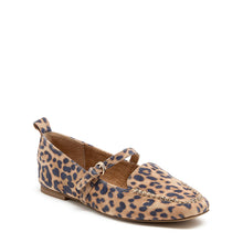 Ferry - Leopard