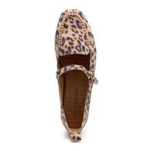Ferry - Leopard