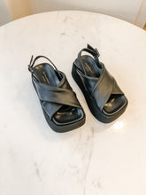 Margisia